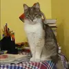 Отзыв от Наталия Федосова